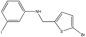 N-[(5-bromothiophen-2-yl)methyl]-3-iodoaniline Struktur