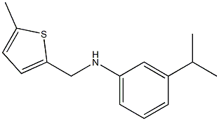 N-[(5-methylthiophen-2-yl)methyl]-3-(propan-2-yl)aniline,,结构式