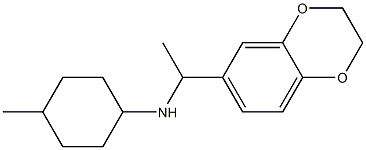 N-[1-(2,3-dihydro-1,4-benzodioxin-6-yl)ethyl]-4-methylcyclohexan-1-amine Structure