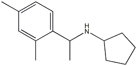 N-[1-(2,4-dimethylphenyl)ethyl]cyclopentanamine