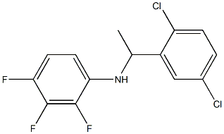 N-[1-(2,5-dichlorophenyl)ethyl]-2,3,4-trifluoroaniline Struktur
