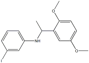 N-[1-(2,5-dimethoxyphenyl)ethyl]-3-iodoaniline 结构式