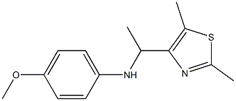 N-[1-(2,5-dimethyl-1,3-thiazol-4-yl)ethyl]-4-methoxyaniline Struktur