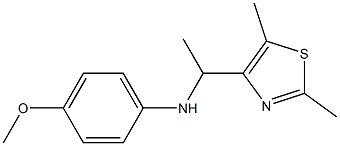 N-[1-(2,5-dimethyl-1,3-thiazol-4-yl)ethyl]-4-methoxyaniline