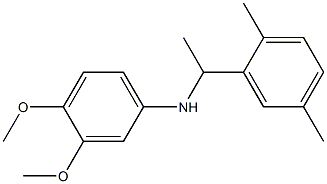 N-[1-(2,5-dimethylphenyl)ethyl]-3,4-dimethoxyaniline