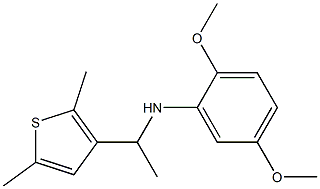 N-[1-(2,5-dimethylthiophen-3-yl)ethyl]-2,5-dimethoxyaniline 化学構造式