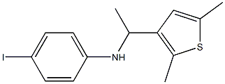  N-[1-(2,5-dimethylthiophen-3-yl)ethyl]-4-iodoaniline