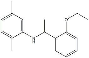 N-[1-(2-ethoxyphenyl)ethyl]-2,5-dimethylaniline 结构式