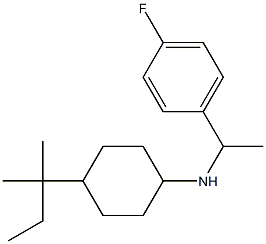 N-[1-(4-fluorophenyl)ethyl]-4-(2-methylbutan-2-yl)cyclohexan-1-amine