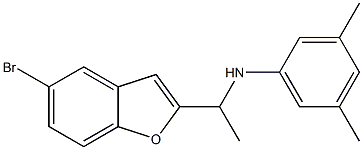 N-[1-(5-bromo-1-benzofuran-2-yl)ethyl]-3,5-dimethylaniline 结构式