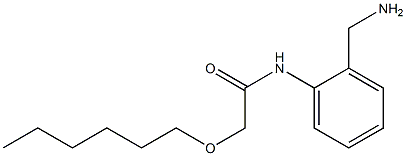 N-[2-(aminomethyl)phenyl]-2-(hexyloxy)acetamide