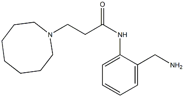 N-[2-(aminomethyl)phenyl]-3-(azocan-1-yl)propanamide,,结构式