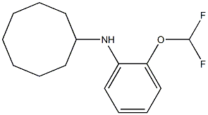 N-[2-(difluoromethoxy)phenyl]cyclooctanamine Structure