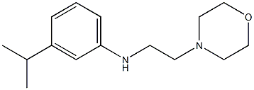 N-[2-(morpholin-4-yl)ethyl]-3-(propan-2-yl)aniline