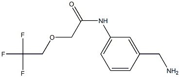 N-[3-(aminomethyl)phenyl]-2-(2,2,2-trifluoroethoxy)acetamide Struktur