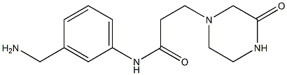 N-[3-(aminomethyl)phenyl]-3-(3-oxopiperazin-1-yl)propanamide 化学構造式