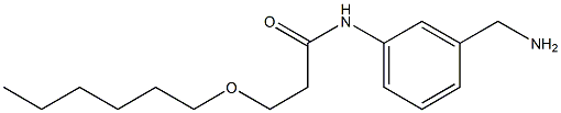 N-[3-(aminomethyl)phenyl]-3-(hexyloxy)propanamide Structure