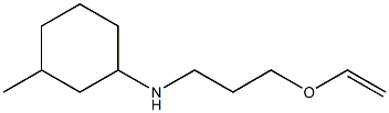 N-[3-(ethenyloxy)propyl]-3-methylcyclohexan-1-amine 化学構造式