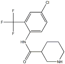 N-[4-chloro-2-(trifluoromethyl)phenyl]piperidine-3-carboxamide Struktur