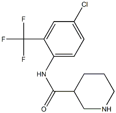 N-[4-chloro-2-(trifluoromethyl)phenyl]piperidine-3-carboxamide 结构式