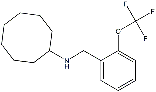 N-{[2-(trifluoromethoxy)phenyl]methyl}cyclooctanamine Structure