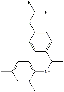 N-{1-[4-(difluoromethoxy)phenyl]ethyl}-2,4-dimethylaniline Struktur