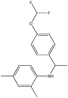  N-{1-[4-(difluoromethoxy)phenyl]ethyl}-2,4-dimethylaniline