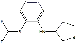 N-{2-[(difluoromethyl)sulfanyl]phenyl}thiolan-3-amine 化学構造式