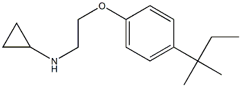 N-{2-[4-(2-methylbutan-2-yl)phenoxy]ethyl}cyclopropanamine 结构式