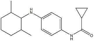 N-{4-[(2,6-dimethylcyclohexyl)amino]phenyl}cyclopropanecarboxamide|