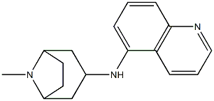 N-{8-methyl-8-azabicyclo[3.2.1]octan-3-yl}quinolin-5-amine,,结构式