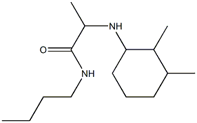 N-butyl-2-[(2,3-dimethylcyclohexyl)amino]propanamide,,结构式