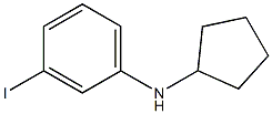 N-cyclopentyl-3-iodoaniline 结构式