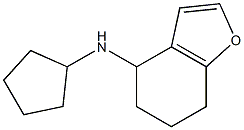 N-cyclopentyl-4,5,6,7-tetrahydro-1-benzofuran-4-amine Struktur