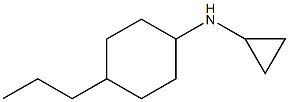 N-cyclopropyl-4-propylcyclohexan-1-amine Struktur