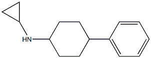 N-cyclopropyl-N-(4-phenylcyclohexyl)amine Structure