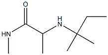 N-methyl-2-[(2-methylbutan-2-yl)amino]propanamide Structure