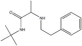 N-tert-butyl-2-[(2-phenylethyl)amino]propanamide