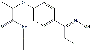 N-tert-butyl-2-{4-[1-(hydroxyimino)propyl]phenoxy}propanamide|