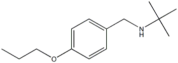 tert-butyl[(4-propoxyphenyl)methyl]amine