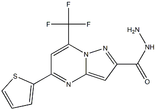 5-(2-thienyl)-7-(trifluoromethyl)pyrazolo[1,5-a]pyrimidine-2-carbohydrazide Structure