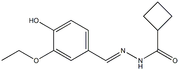 N'-(3-ethoxy-4-hydroxybenzylidene)cyclobutanecarbohydrazide 结构式