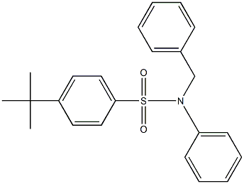 N-benzyl-4-tert-butyl-N-phenylbenzenesulfonamide Structure