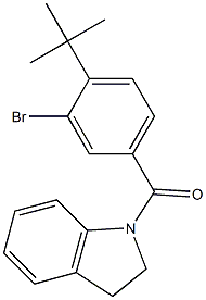 [3-bromo-4-(tert-butyl)phenyl](2,3-dihydro-1H-indol-1-yl)methanone