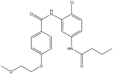 N-[5-(butyrylamino)-2-chlorophenyl]-4-(2-methoxyethoxy)benzamide 结构式