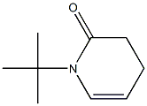 3,4-Dihydro-1-tert-butylpyridin-2(1H)-one Struktur