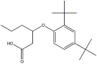 3-(2,4-Di-tert-butylphenoxy)hexanoic acid