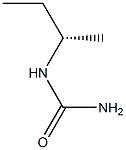 [S,(+)]-sec-ブチル尿素 化学構造式