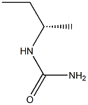 [S,(+)]-sec-Butylurea Structure