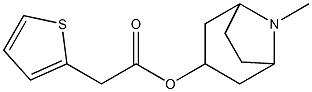 Thiophene-2-acetic acid 8-methyl-8-azabicyclo[3.2.1]octan-3-yl ester